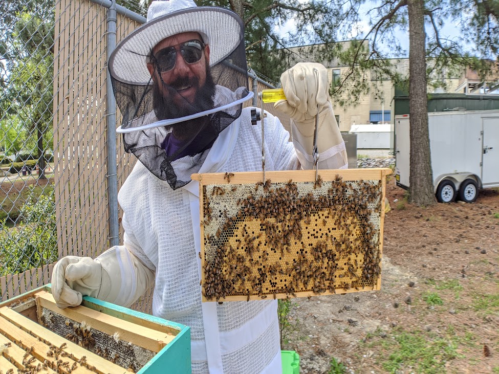 Beekeeping 1
