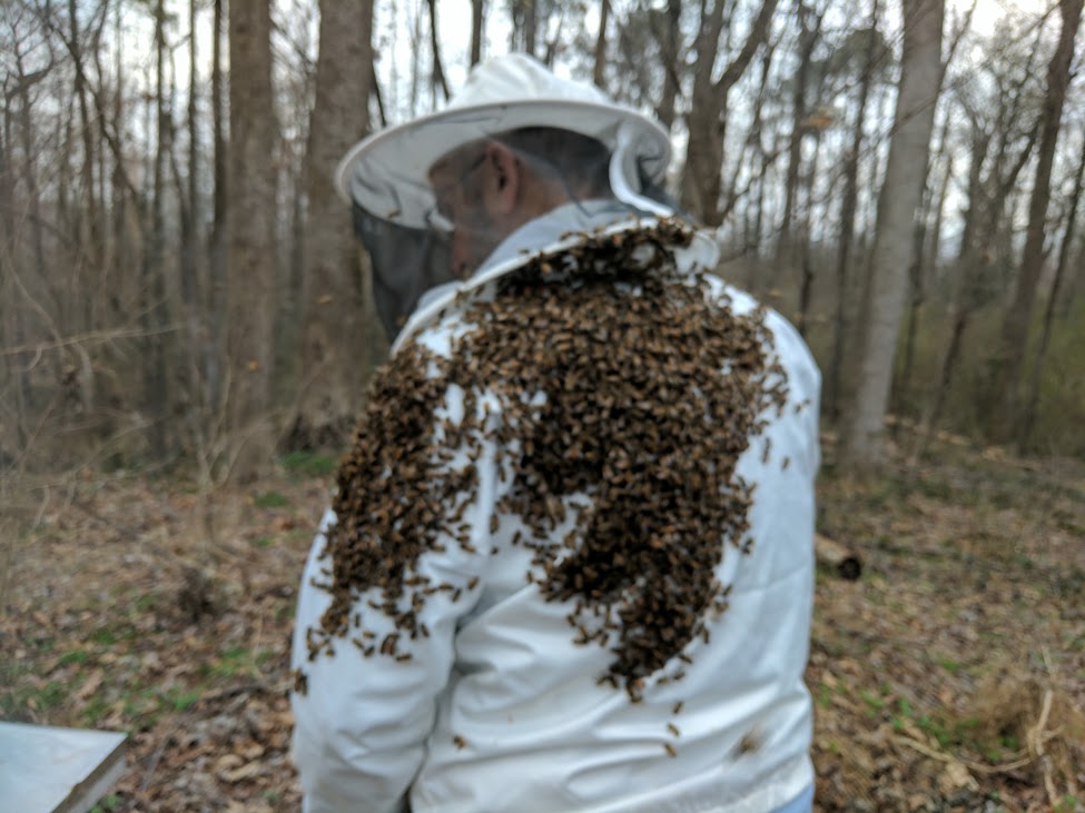 Beekeeping